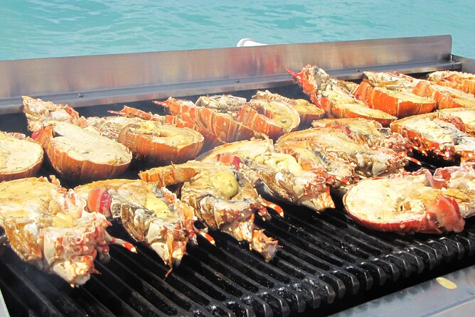 Sail and Snorkel at Cades Reef - Who Will Enjoy This Trip Most?