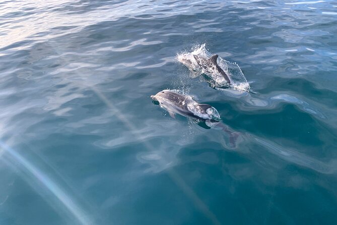 Sailing Adventure: Sailing, Dolphins and Relaxation with Drinks - Key things to know