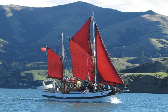 Sailing and Wildlife Tour Akaroa Fox II Sailing - Key points to know before booking