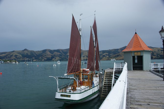Sailing and Wildlife Tour Akaroa Fox II Sailing - Captain Roy’s commentary and the boat’s personality