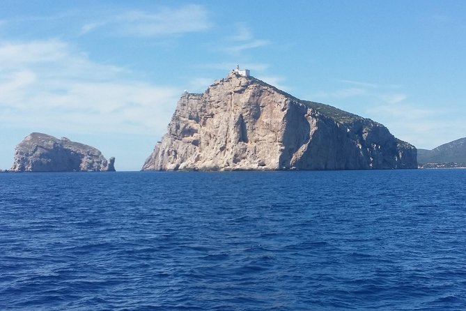 Sailing day trip on Tall Ship Andrea Jensen with Lunch and Wine - Capo Caccia and the Coral Riviera