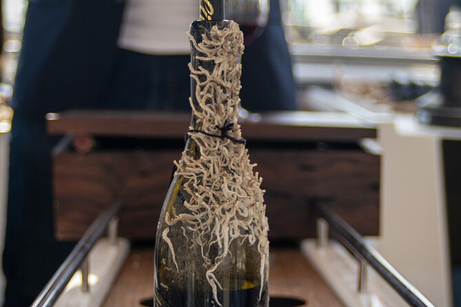 Sailing Tour and Tasting of Submarine wines on board - What makes submarine wine different