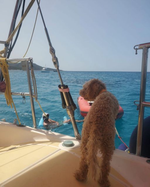 Saint-Florent: sailing excursions with Sailingmaures - Swimming, snorkeling, and the useful extras