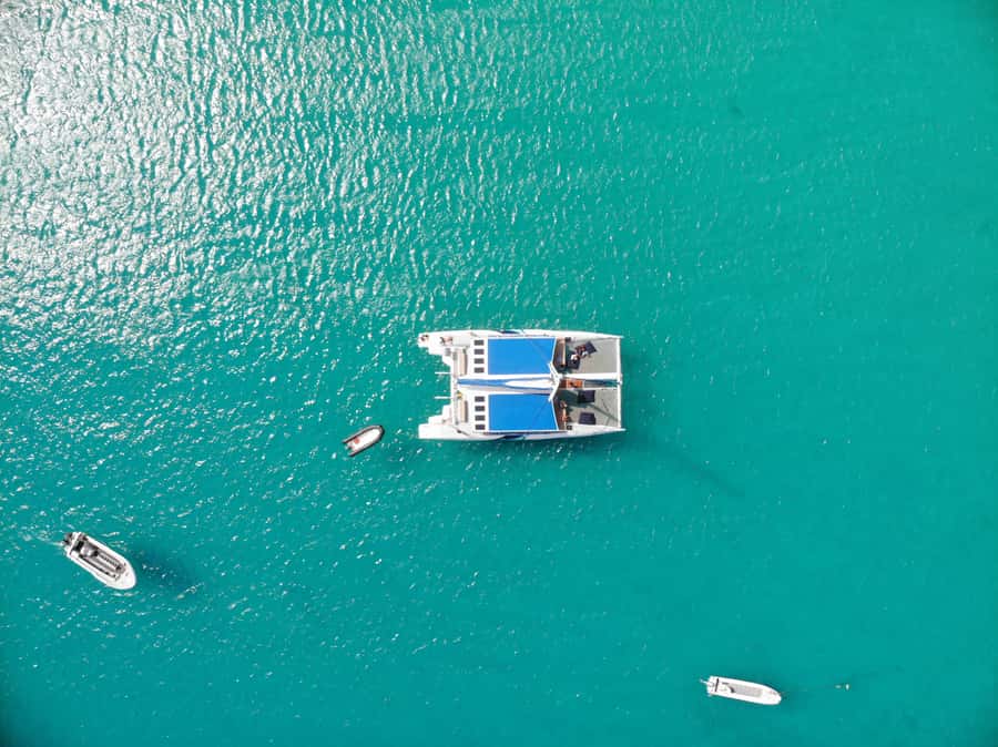Sal: All-Inclusive Half-Day Lounge Catamaran Cruise - Swimming beside the catamaran