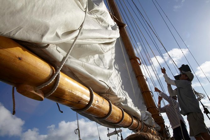San Diego Bay Sail Aboard a Vintage Yacht Beer and Wine Included - Coronado Bridge and North Island