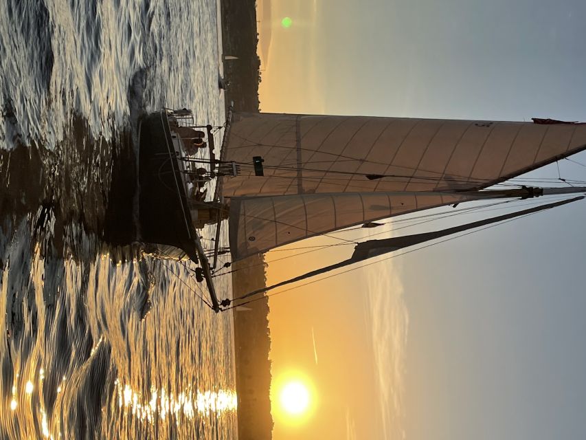 San Diego: Classic Yacht Sailing Experience - Wildlife sightings on the bay