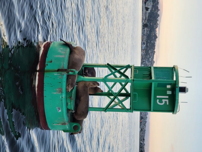 San Diego: San Diego Bay Sunset & Daytime Sailing Experience - Downtown San Diego by sailboat