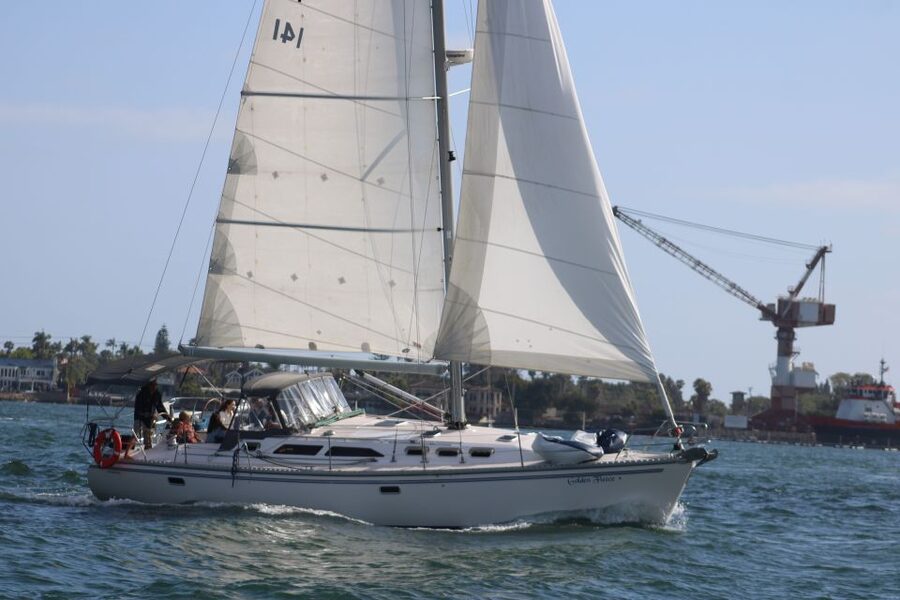 San Diego: San Diego Bay Sunset & Daytime Sailing Experience - Sea lions, dolphins, and the quiet moments