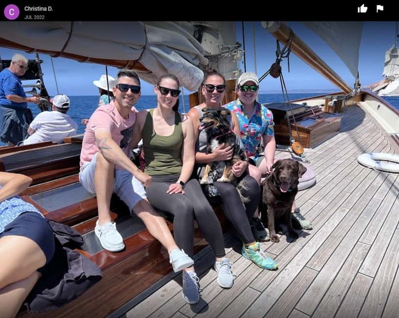 San Diego: Whale Watching Cruise on the Yacht America - What you can see during each season