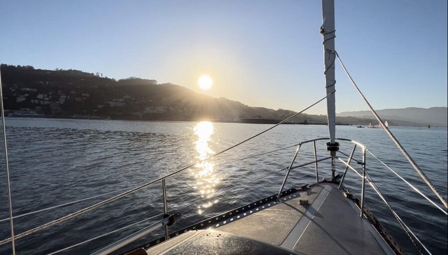 SAN FRANCISCO: (2hr) SUNSET Sailing Experience on SF Bay - Wildlife is a welcome possibility