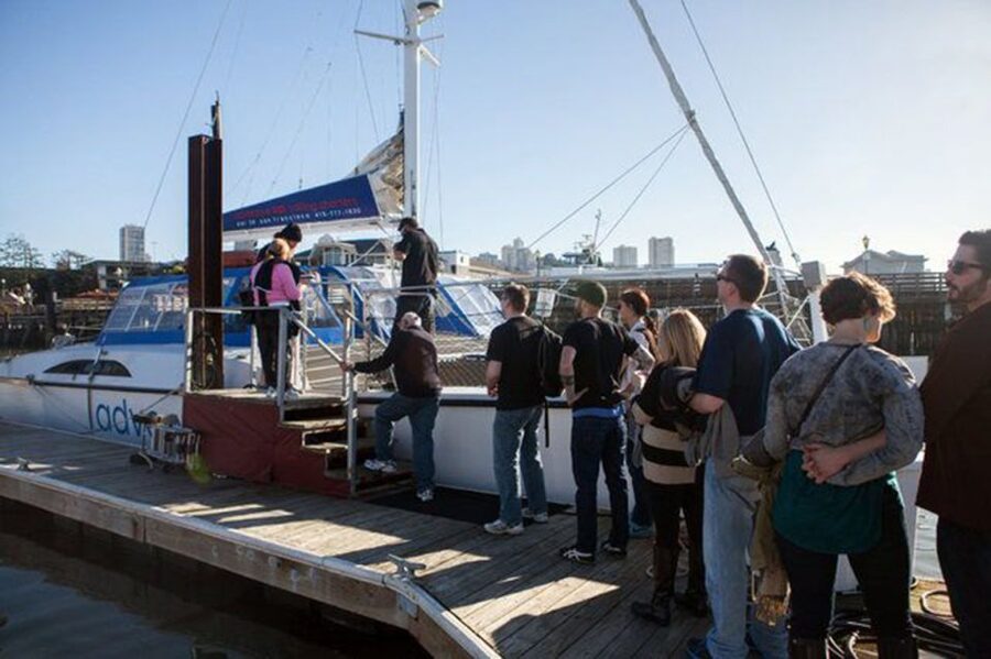 San Francisco: Golden Gate Bridge Catamaran Cruise - Sea lions, dolphins, and the chance of whales
