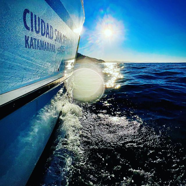 San Sebastian: Sustainable Catamaran Cruise with Audio Guide - A quiet start in San Sebastian’s traditional harbor