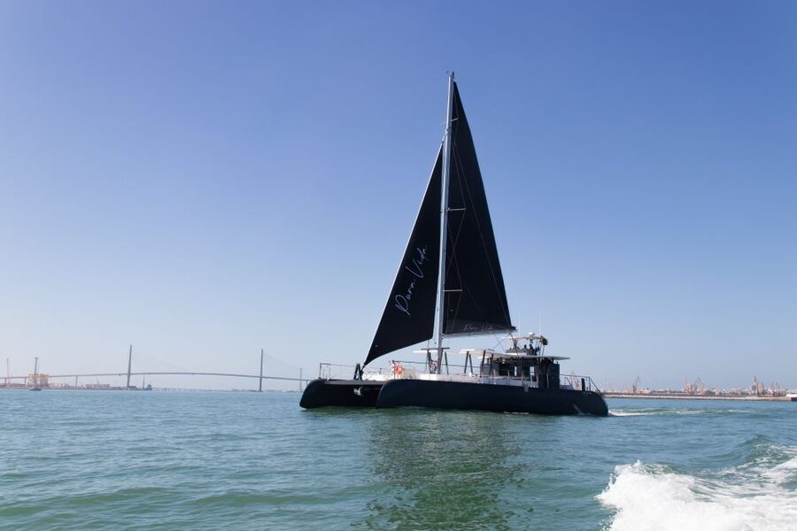 Sancti Petri: Catamaran Cruise with Swim Stop and lunch - Leaving from the Port of Sancti Petri