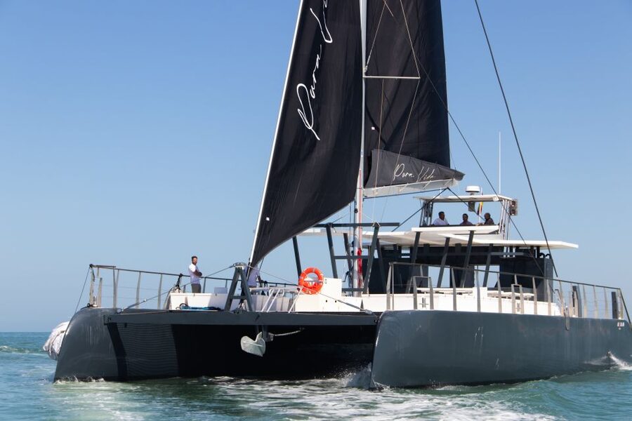 Sancti Petri: Catamaran Cruise with Swim Stop and lunch - Swimming, sliding, and time on the mats