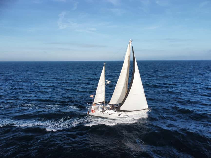 Santa Pola: Sail to Tabarca, snorkel, and enjoy sunset with a tasting - From Marina Miramar into Santa Pola Bay
