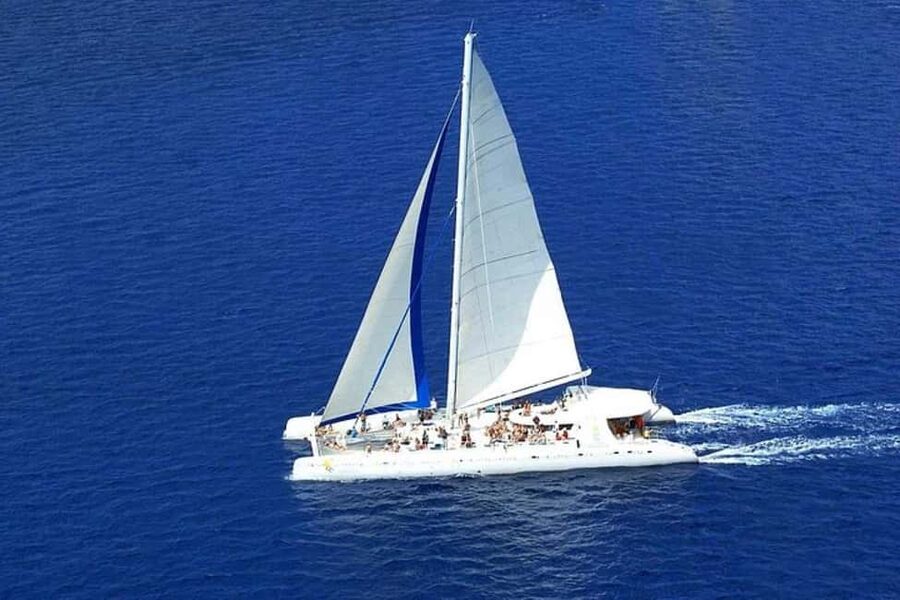 Saona Island: Catamaran/Speedboat Tour to a Dream Beach - Key points to know before booking