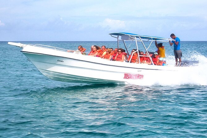 Saona Island Full Day Excursion from Punta Cana + Catamaran Party - The catamaran party on the way back