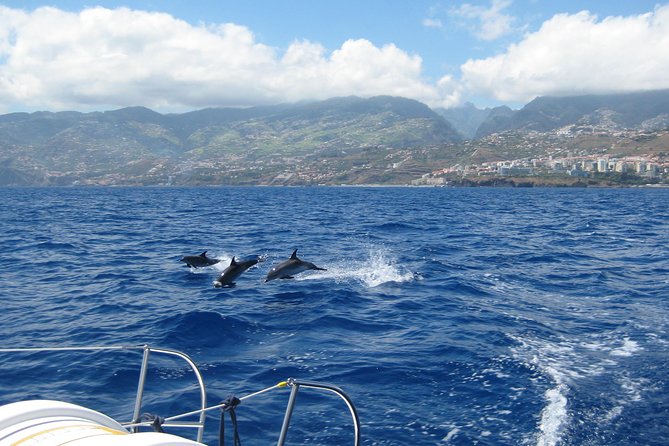 Seaborn Catamaran trips - Leaving Funchal Marina for the open sea