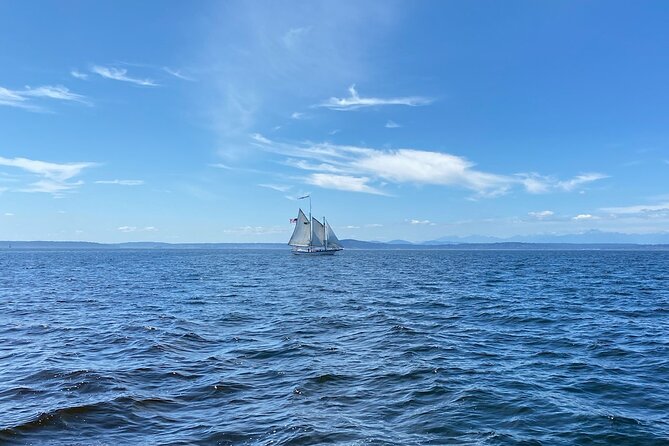 Seattle Sailing Harbor Tour - What the two-hour sailing route shows you