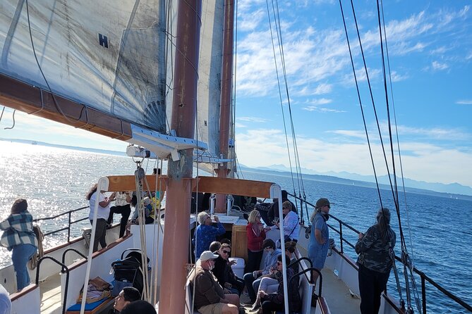 Seattle Sailing Harbor Tour - How much value do you get for $39?