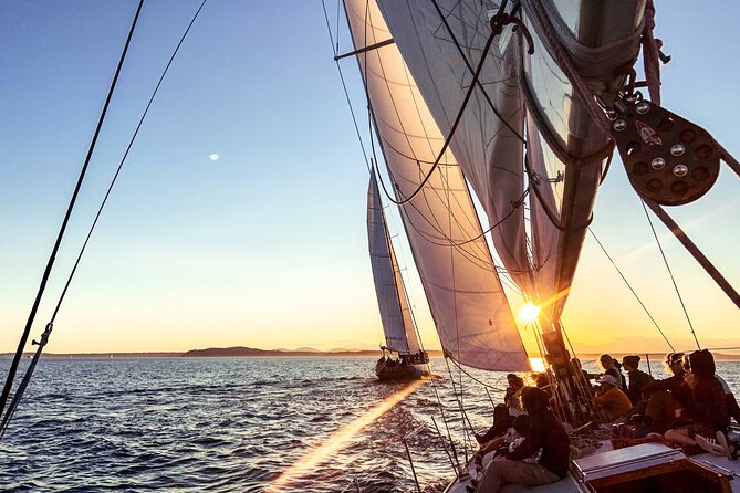 Seattle Sunset Sail BYOB - Seals, whales, and the luck of the route