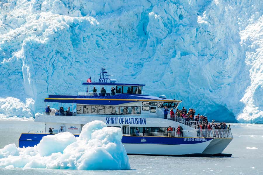 Seward: Kenai Fjords National Park Catamaran Cruise w/Lunch - Searching for whales, otters, and seabirds