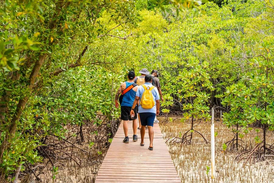 Seychelles: St Pierre and Curieuse Catamaran Tour with Lunch - Transfers depend on where you are staying