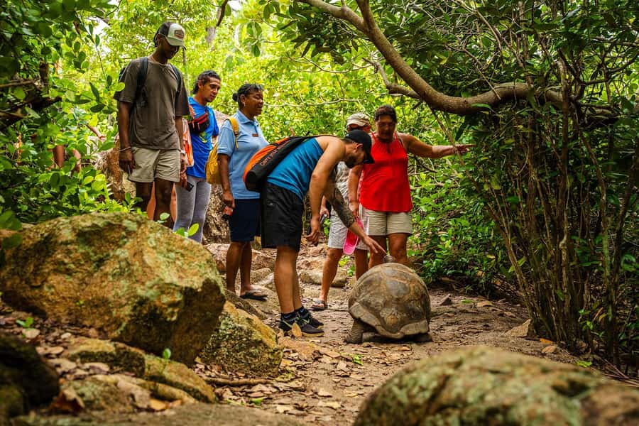 Seychelles: St Pierre and Curieuse Catamaran Tour with Lunch - Who will enjoy this trip most?