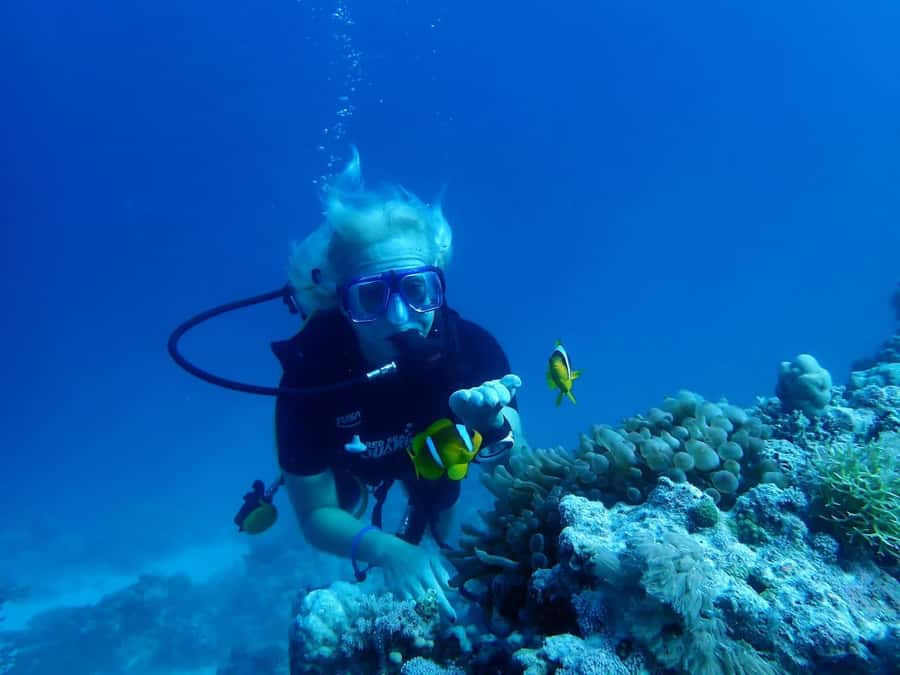 Sharm El Sheikh: Day sail to White island and Ras Mohamed - Key points at a glance