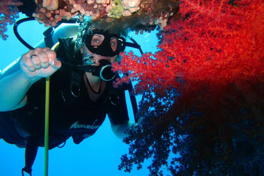 Sharm El Sheikh: Day sail to White island and Ras Mohamed - The crew makes a real difference