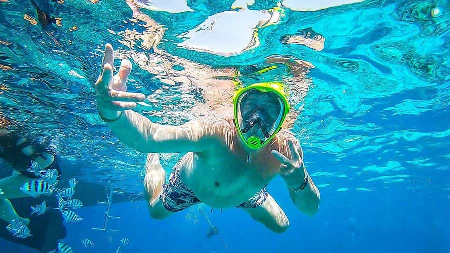 Sharm El Sheikh: Day sail to White island and Ras Mohamed - Timing, transfers, and practical planning