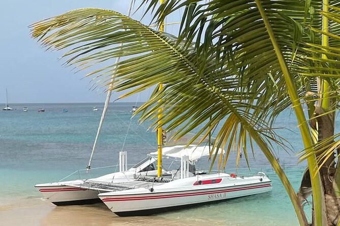 Shasa private catamran sailing cruise, Snorkel with turtles. - Sailing between the snorkeling and the shore