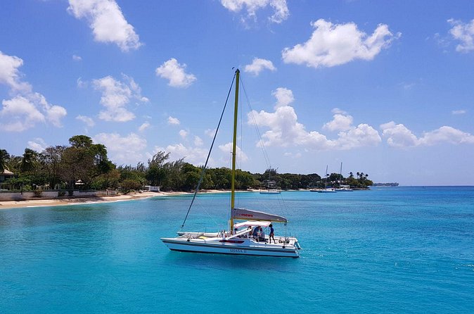 Shasa private catamran sailing cruise, Snorkel with turtles. - Should you book Shasa for turtle snorkeling?