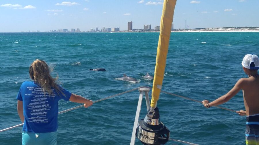 Shell Island: Adventure Tour on the Privateer Catamaran - Practical preparation for a smoother outing