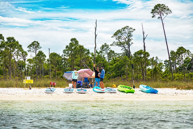 Shell Island Inflatable Adventure Park & Dolphin Sightseeing Tour - A three-hour outing built around two very different pleasures