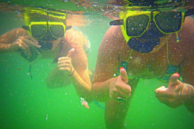 Shell Island Snorkel and Dolphin Catamaran Cruise with Island Time - Should You Book Island Time?