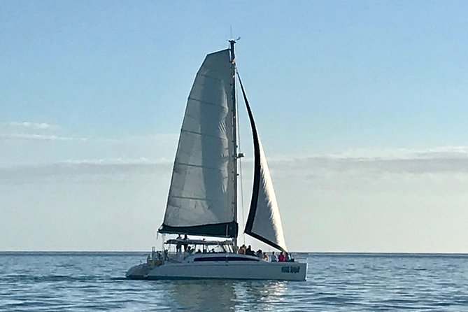 Sightseeing and Sunset Catamaran Sailing Excursion - Setting Sail From Capri Boulevard