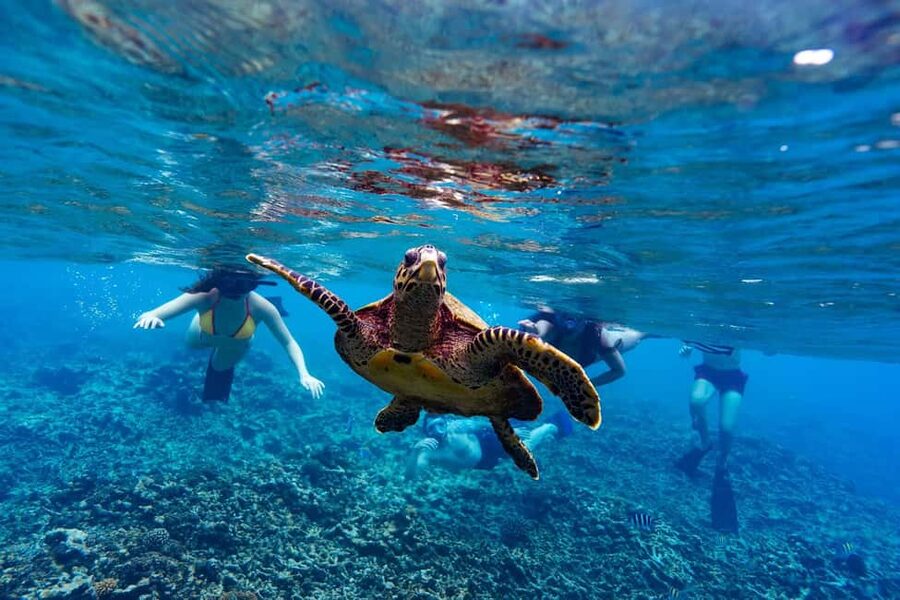 Sister, Coco, and Felicite Island: Seychelles Catamaran Tour - Why this day at sea works so well