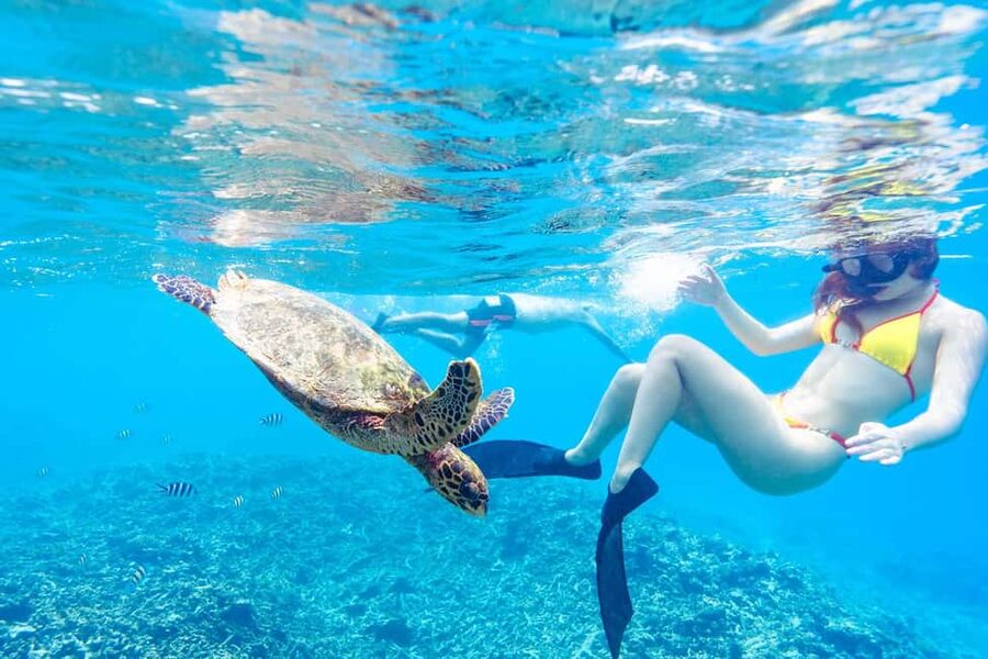 Sister, Coco, and Felicite Island: Seychelles Catamaran Tour - The boat, crew, and pace of the day