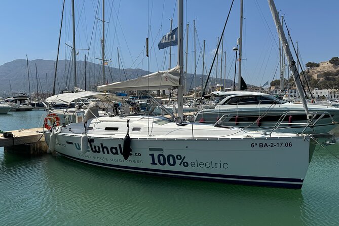 Small Group Dolphin Sunset Tour on Electric Sailing Boat Denia - A sunset cruise built around the Cabo de San Antonio reserve