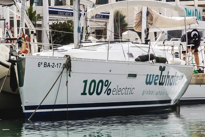 Small Group Dolphin Sunset Tour on Electric Sailing Boat Denia - Cabo de San Antonio, the heart of the outing