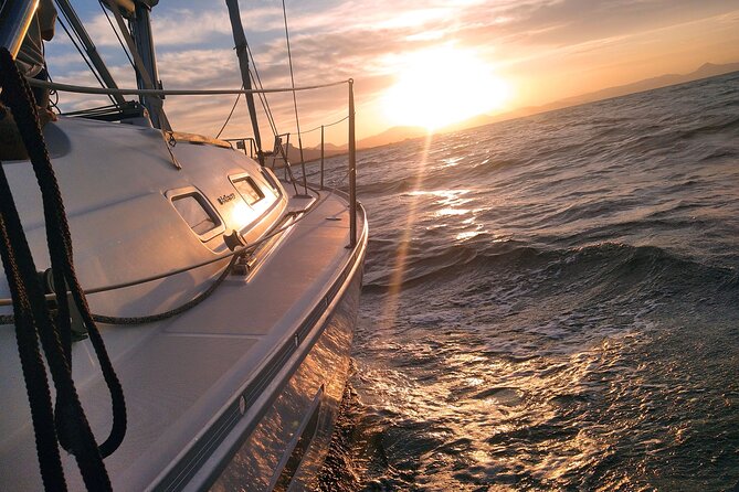 Small Group Dolphin Sunset Tour on Electric Sailing Boat Denia - Is $90.31 a fair price?
