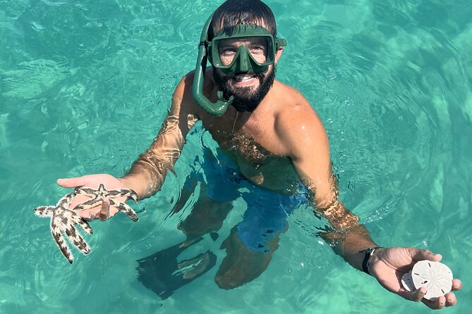 Snorkel & Dolphin Sightseeing Tour Aboard the Footloose - The dolphin search happens on the Gulf cruise