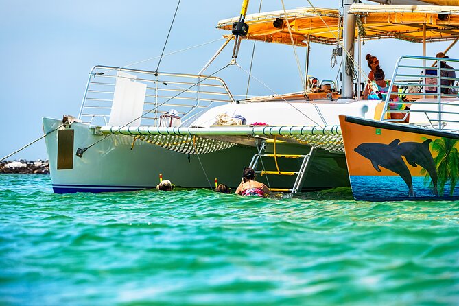Snorkel & Dolphin Sightseeing Tour Aboard the Footloose - A comfortable catamaran with a laid-back feel