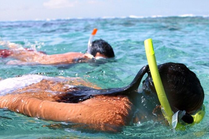 Snorkel & Dolphin Sightseeing Tour Aboard the Footloose - Practical ways to make the three hours better