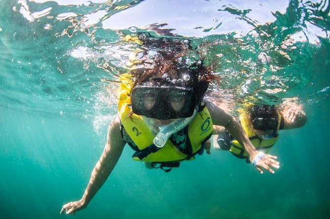 Snorkel, Lunch & Sail in Cabo San Lucas - Is $115 a good value?