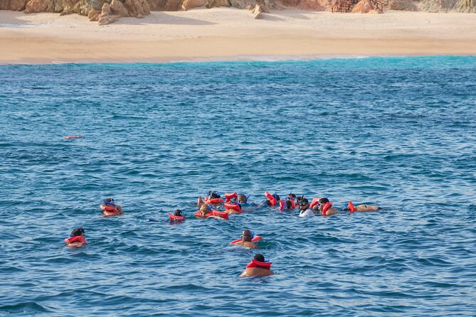 Snorkel & Sunset Sail in Cabo San Lucas - Cancellation rules and weather plans