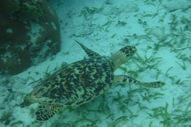 St John & Surrounding Cays - Full-Day Sail/Snorkel, 6 Guests Max - A grilled lunch between the stops