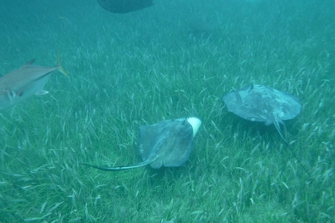 St John & Surrounding Cays - Full-Day Sail/Snorkel, 6 Guests Max - What the captains add to the day