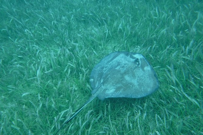 St John & Surrounding Cays - Full-Day Sail/Snorkel, 6 Guests Max - Is $245 a good value?